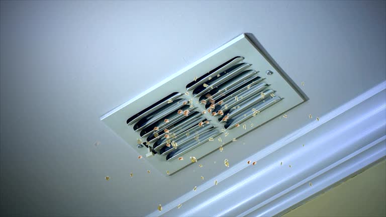 Best Affordable HVAC Duct Cleaning  in Wetumpka, AL